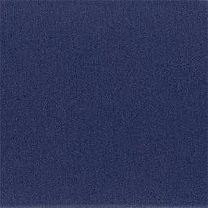 22mm Navy Blue Silicone/Rubber NATO Military Watch Strap