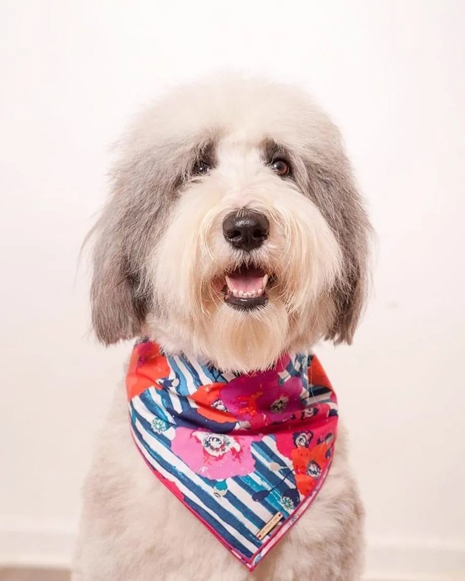 Dog and Cat Bandana: Water Colour Poppies