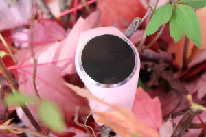 Pink TimeGear Beta