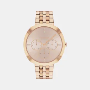 Shape Women Gold Dial Multi-Function Stainless Steel Watch 25200419