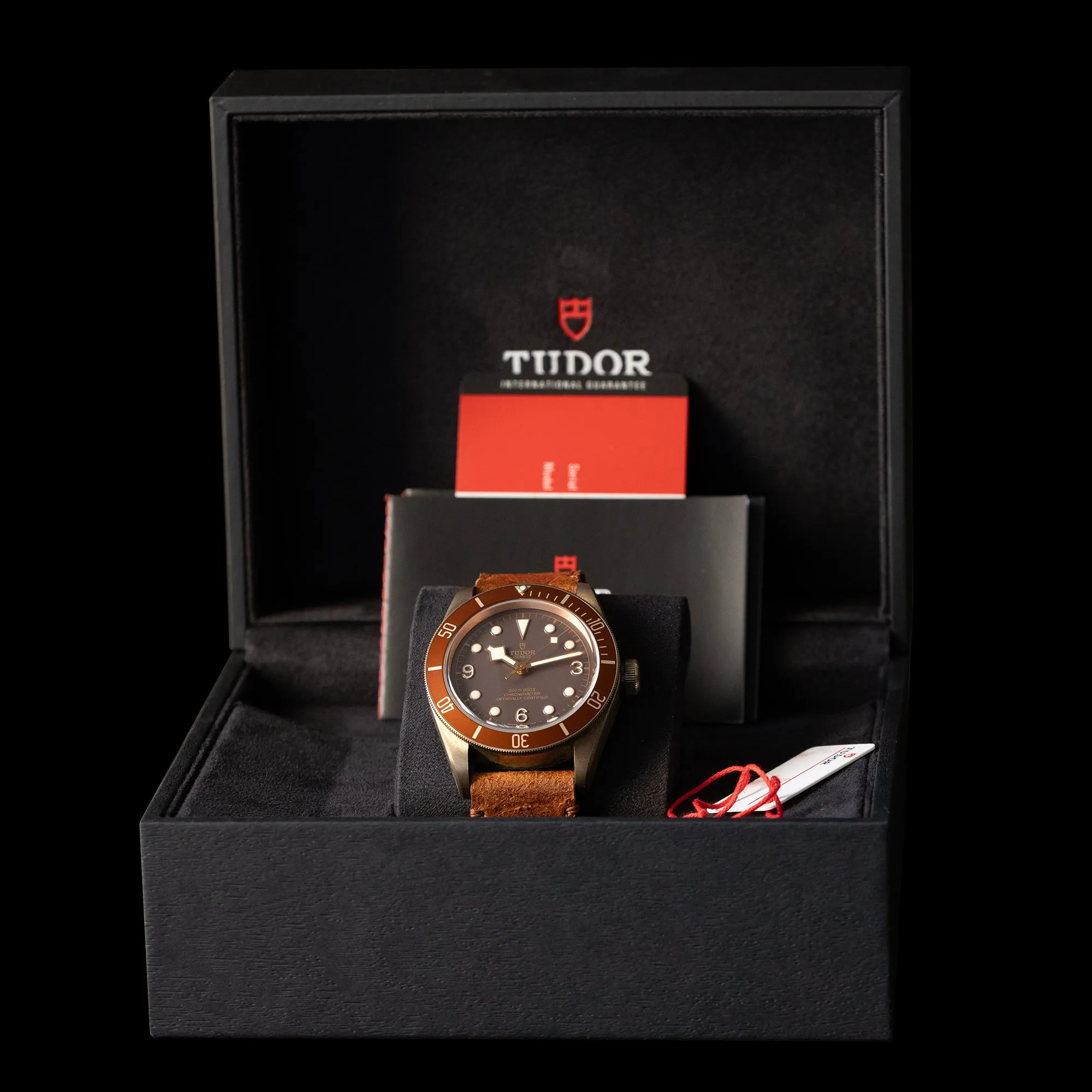 Tudor - 2018 Heritage Black Bay Bronze 79250BM